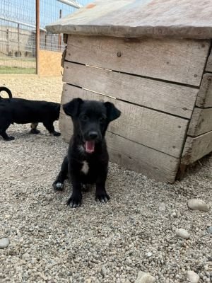 Whatsapp bild 2025 08 07 um 12.59.03 3a83295e