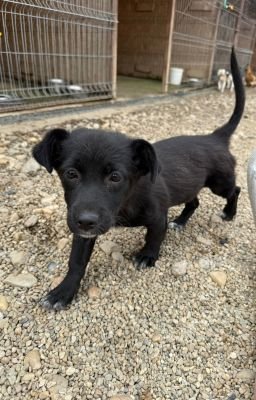 Whatsapp bild 2025 08 07 um 12.59.03 f8d39c4d