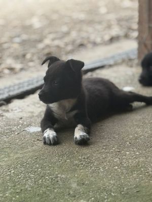 Whatsapp bild 2025 08 07 um 13.01.29 4dd23fdc