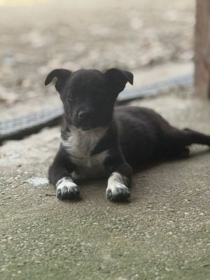 Whatsapp bild 2025 08 07 um 13.01.29 de3ef8e6