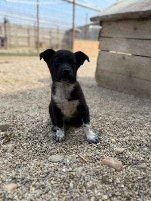 Whatsapp bild 2025 08 07 um 13.05.53 3b80e83b