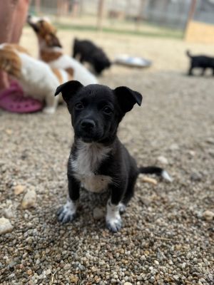 Whatsapp bild 2025 08 07 um 13.05.55 91b2b75b