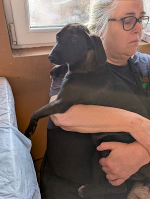 Whatsapp bild 2025 09 02 um 07.24.22 72718fcf