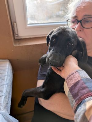 Whatsapp bild 2025 09 02 um 07.24.22 7a0be17b