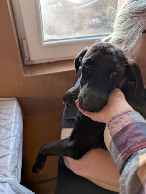 Whatsapp bild 2025 09 02 um 07.24.22 8fe69844