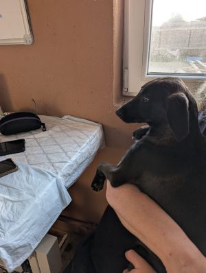 Whatsapp bild 2025 09 02 um 07.24.22 cd6ecc0c