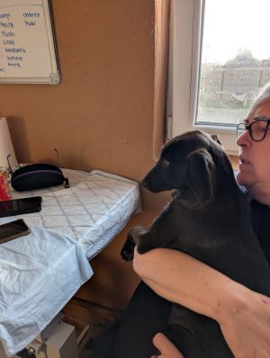 Whatsapp bild 2025 09 02 um 07.24.23 0e4bba91