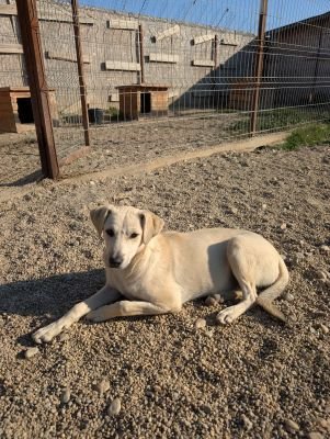 Whatsapp bild 2025 09 08 um 09.02.02 bed45573