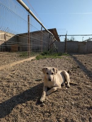 Whatsapp bild 2025 09 08 um 09.02.03 d77fa813