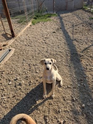 Whatsapp bild 2025 09 08 um 09.02.04 0539012d