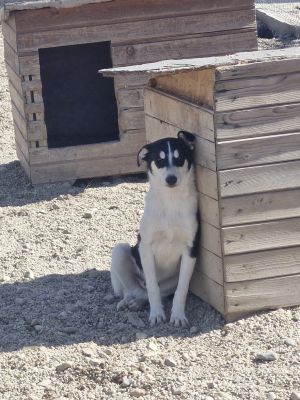 Whatsapp bild 2025 09 18 um 11.15.58 0061c58f