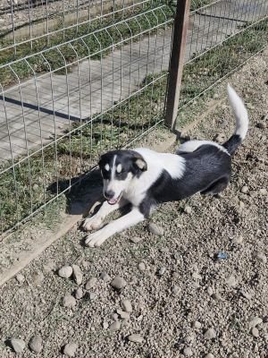 Whatsapp bild 2025 09 18 um 11.16.00 e213ed4b