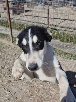 Whatsapp bild 2025 09 18 um 11.16.01 eeb23938