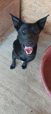 Whatsapp bild 2025 09 25 um 10.37.09 5b172c71