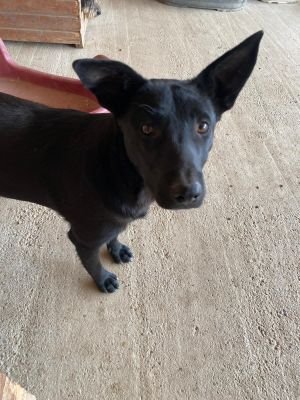 Whatsapp bild 2025 09 25 um 10.37.09 88132fbf