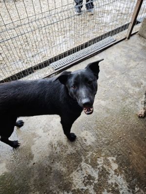 WhatsApp Bild 2025 11 20 um 10.23.54 36a2d8d3