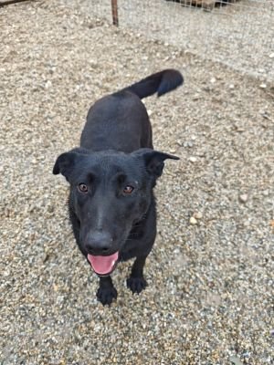 WhatsApp Bild 2025 11 20 um 10.23.56 82115de3