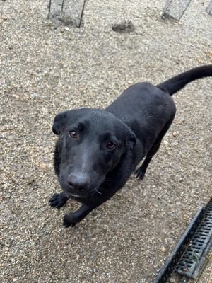 WhatsApp Bild 2025 11 20 um 10.24.35 0e1de90a