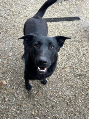 WhatsApp Bild 2025 11 20 um 10.24.36 6d7c3e32