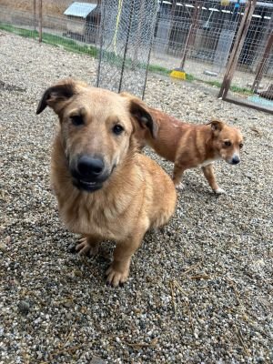 WhatsApp Bild 2025 11 20 um 10.29.20 bae65253