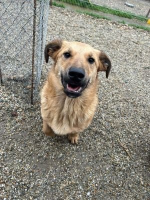 WhatsApp Bild 2025 11 20 um 10.29.23 c9c97700