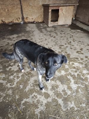 WhatsApp Bild 2025 11 20 um 10.35.55 e03df0dd