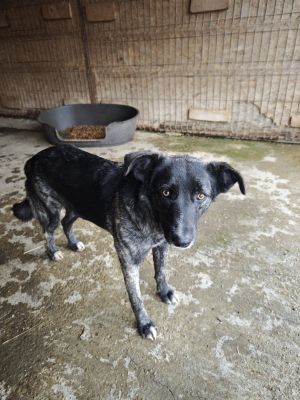 WhatsApp Bild 2025 11 20 um 10.36.08 0d934901