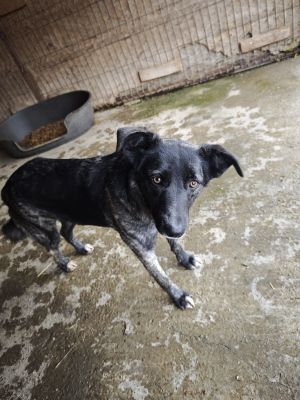 WhatsApp Bild 2025 11 20 um 10.36.09 a3bf1812