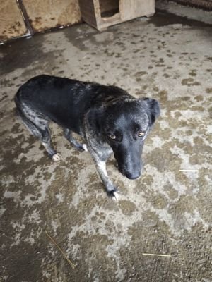 WhatsApp Bild 2025 11 20 um 10.36.10 3dc47ec0