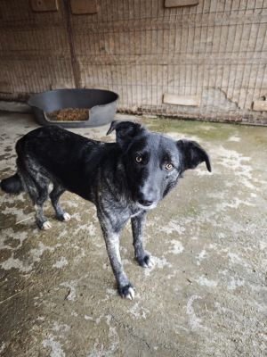 WhatsApp Bild 2025 11 20 um 10.36.10 98a6c0af