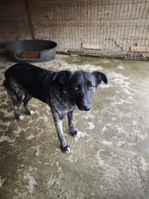 WhatsApp Bild 2025 11 20 um 10.36.11 2023deea