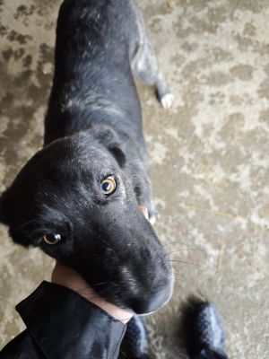 WhatsApp Bild 2025 11 20 um 10.36.12 880509d3