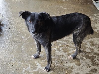 WhatsApp Bild 2025 11 20 um 10.36.13 0a3493e7