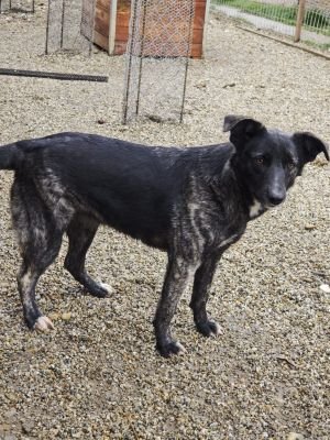 WhatsApp Bild 2025 11 20 um 10.36.13 d8548f2f