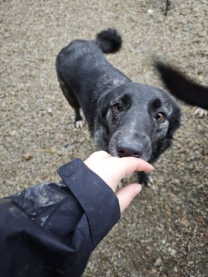 WhatsApp Bild 2025 11 20 um 10.36.14 7242094b