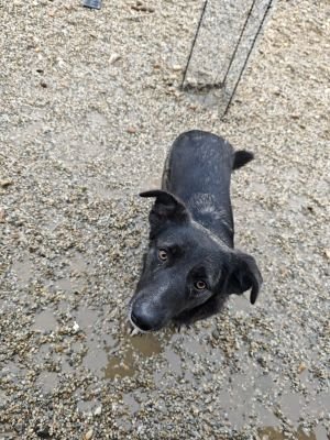 WhatsApp Bild 2025 11 20 um 10.36.14 c22e908f