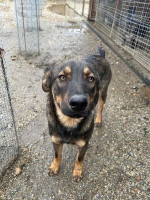 WhatsApp Bild 2025 11 20 um 14.46.16 5a122d11