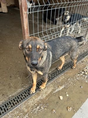 WhatsApp Bild 2025 11 20 um 14.46.16 fb433938