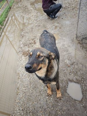 WhatsApp Bild 2025 11 20 um 14.46.34 d1ec7571