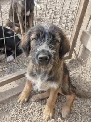 Whatsapp image 2025 09 11 at 08.53.52 (2)