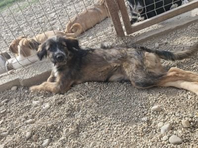 Whatsapp image 2025 09 11 at 08.53.52