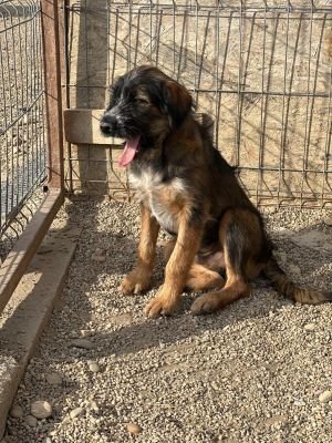 Whatsapp image 2025 09 11 at 08.54.47 (1)