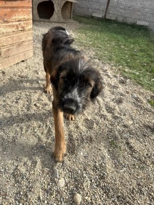 Whatsapp image 2025 09 11 at 08.54.48 (3)