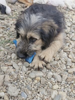 Whatsapp image 2025 09 11 at 11.21.43