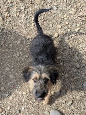 Whatsapp image 2025 09 11 at 11.21.44 (3)