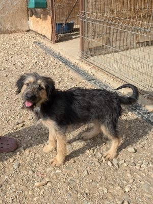 Whatsapp image 2025 09 11 at 11.21.44