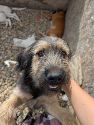 Whatsapp image 2025 09 11 at 11.21.45 (2)