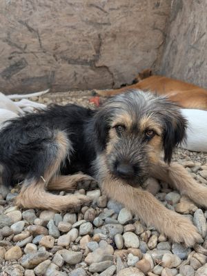 Whatsapp image 2025 09 11 at 11.21.45 (3)