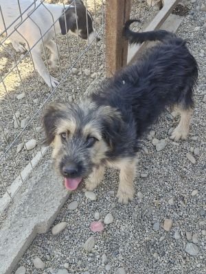 Whatsapp image 2025 09 14 at 15.43.20