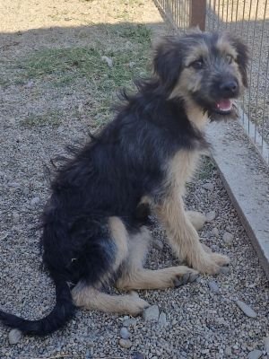 Whatsapp image 2025 09 14 at 15.43.21 (1)